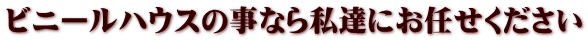 �r�j�[���n�E�X�̎��Ȃ玄�B�ɂ��C����������