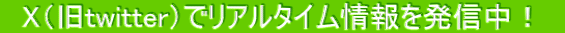 @XitwitterjŃA^C𔭐MI@